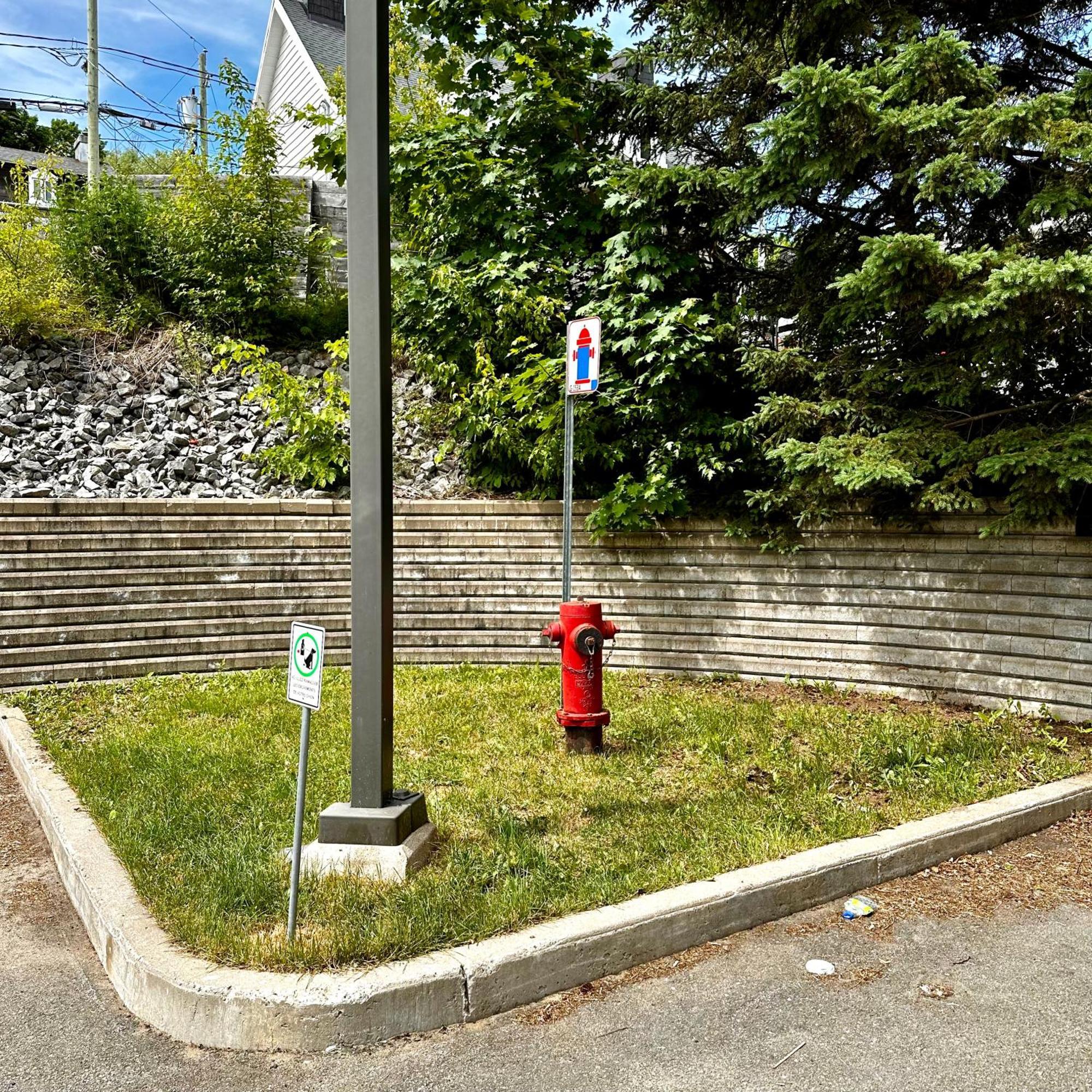 Initial - Explorateur - Chutes-Montmorency Boischatel ภายนอก รูปภาพ